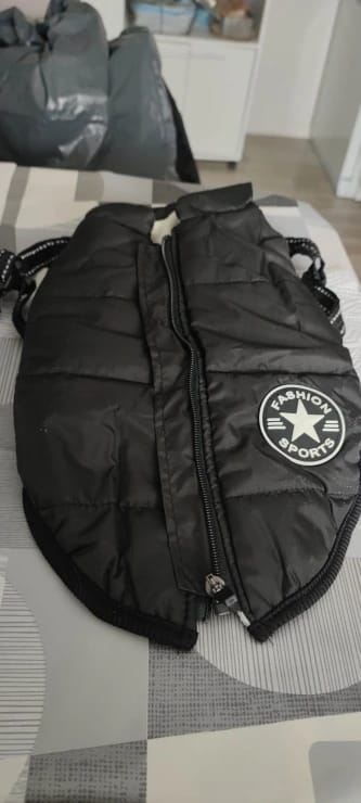 Customer photo review of Waterproof Warm Winter Dog Jacket With Harness | Dog Clothes