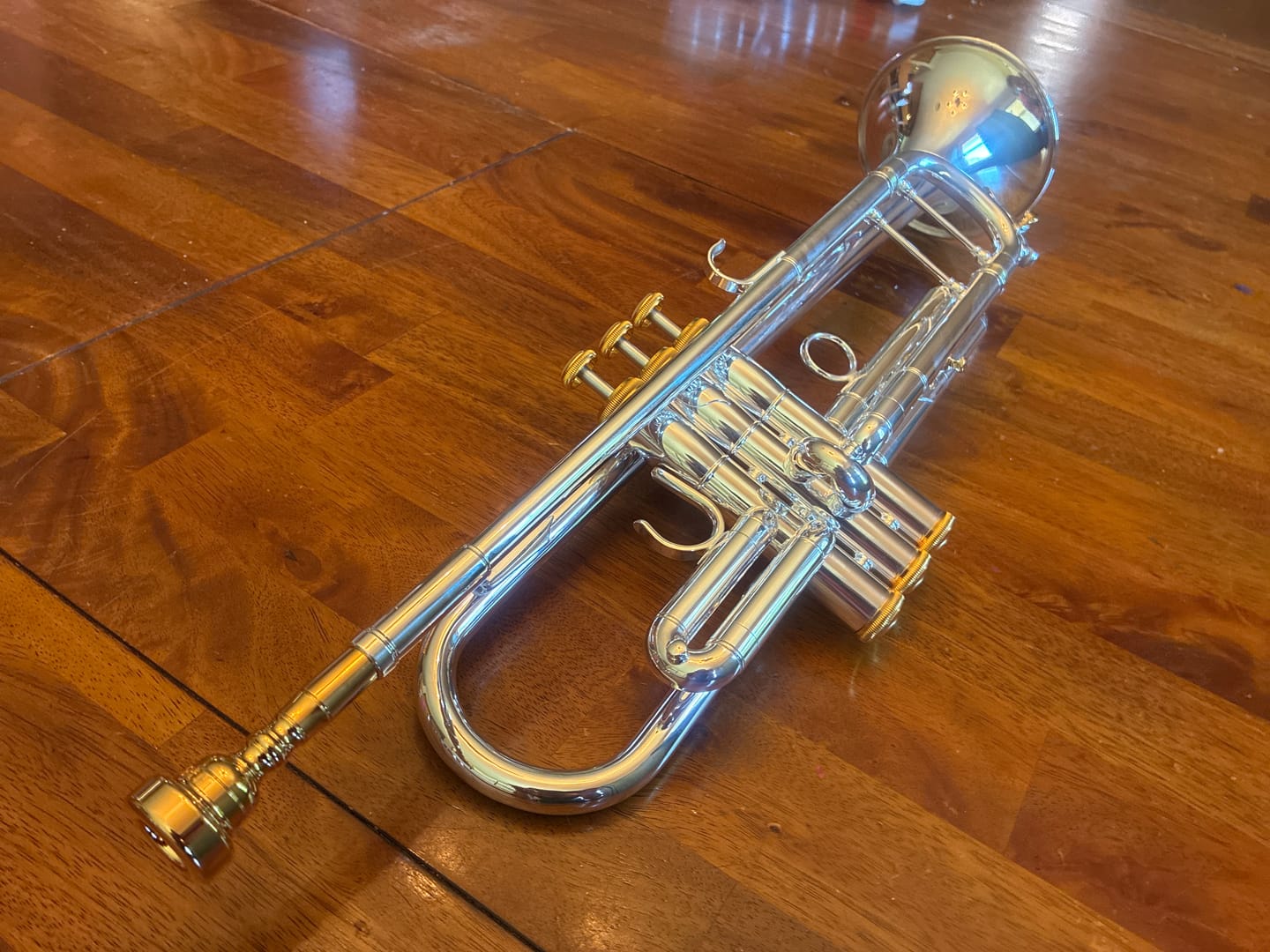 Customer photo review of Trumpet Classic Series