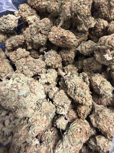 Customer photo review of Caramel Apple - Bulk - Hybrid