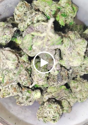 Customer photo review of Boutique Exotics - Lemon Dior - 14 Grams - Hybrid