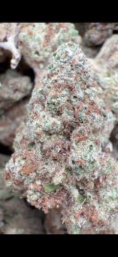 Customer photo review of CHRONIC KIEF - Premium Kief - 28g