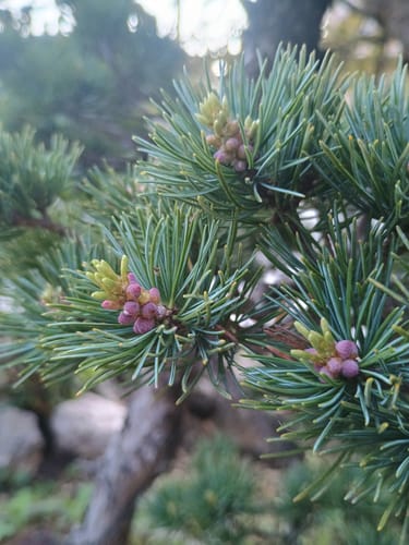 Customer photo review of PACK COMPLETO CONCIMAZIONE PRIMAVERILE