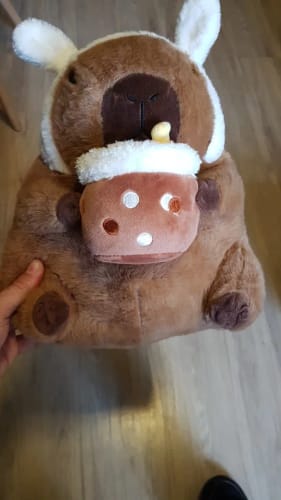 Customer photo review of Boba Capybara Plush Toy