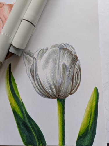 Customer photo review of Ohuhu Honolulu 36 Skin Tone Colors Dual Tips Portrait Alcohol Art Markers