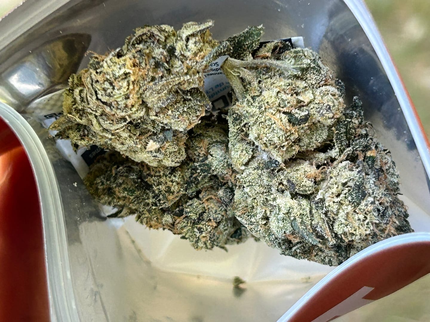Customer photo review of Sour Diesel