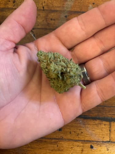 Customer photo review of Candy Gas THCA Flower