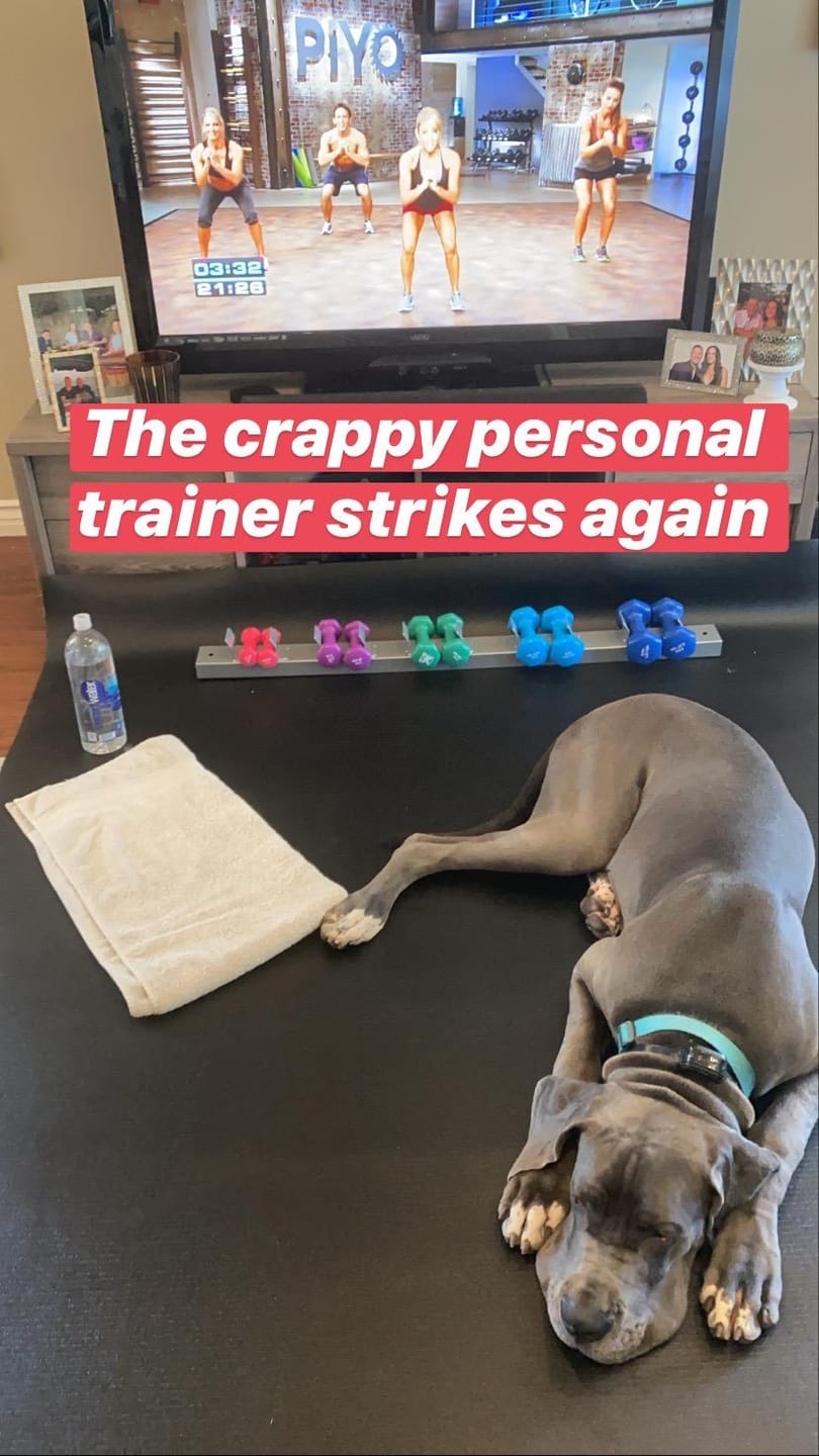 Customer photo review of GXMMAT Large Exercise Mat 6'x8'