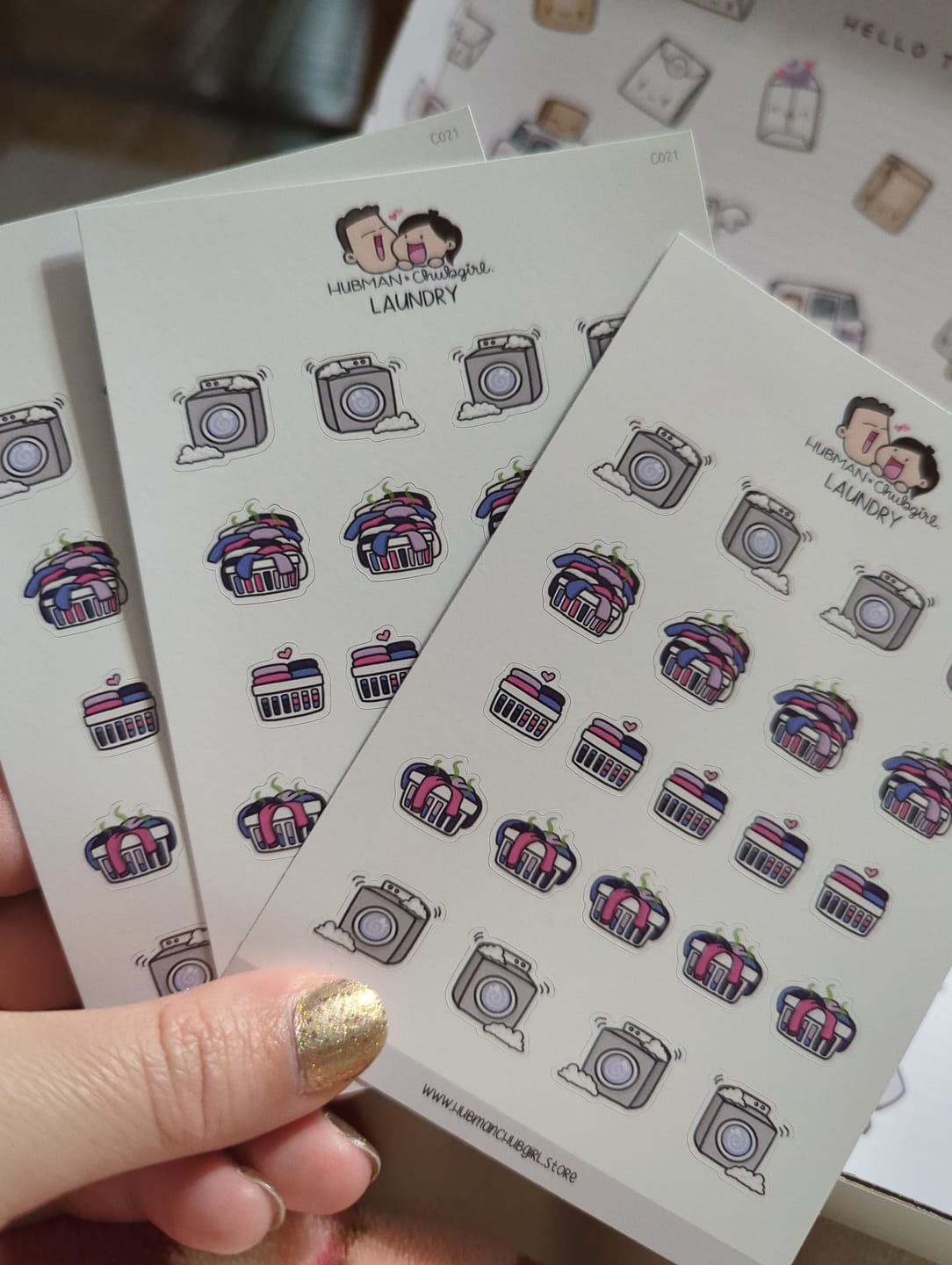 Customer photo review of Laundry Planner Stickers
