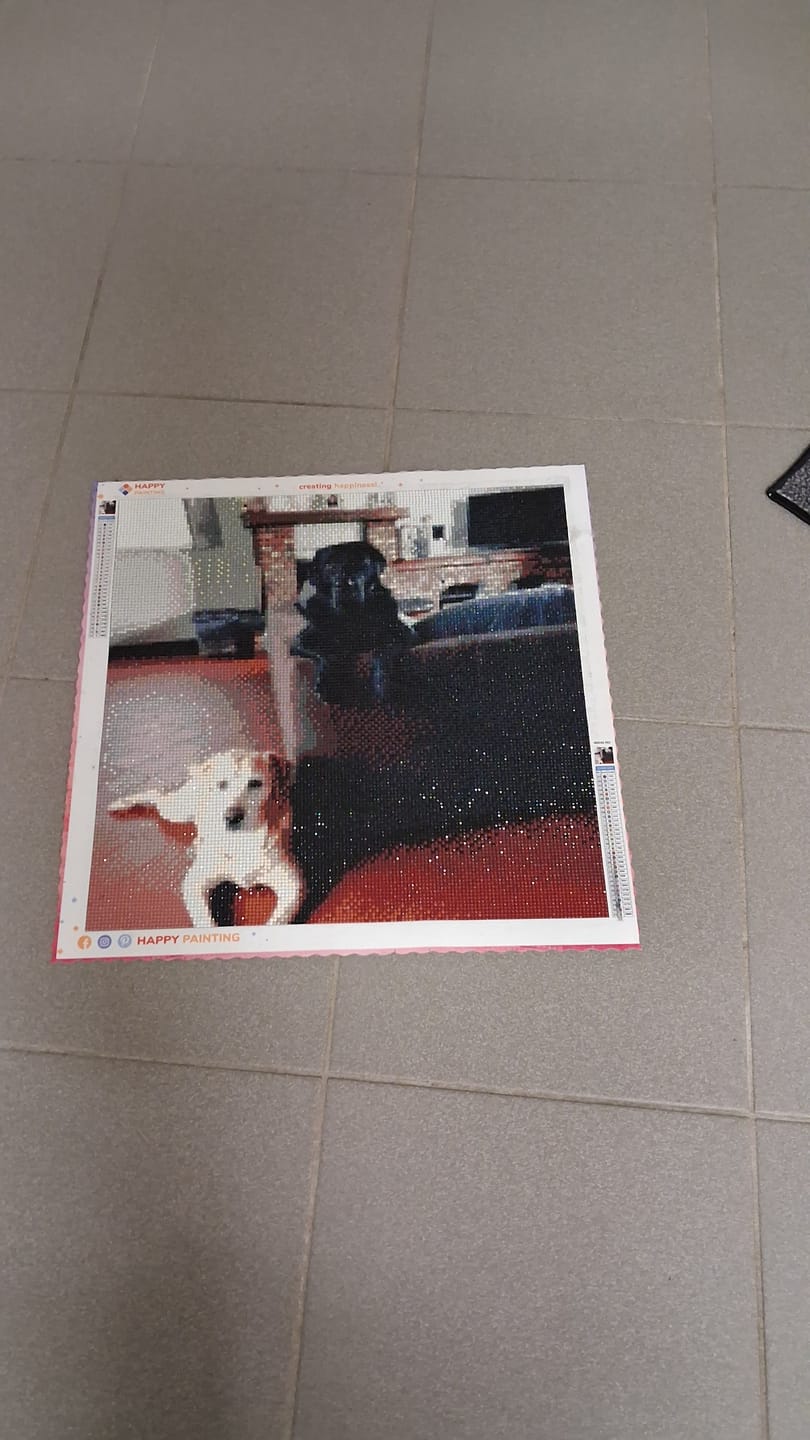 Customer photo review of Eigen Foto Diamond Painting
