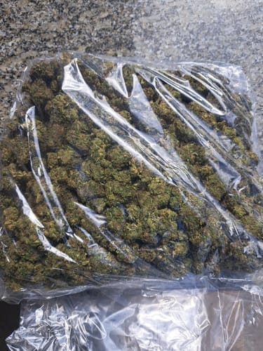 Customer photo review of Berry White - Bulk - Hybrid