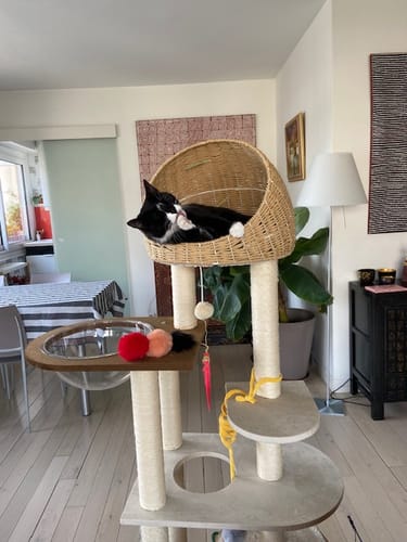 Customer photo review of Arbre à Chat -  Nuage Miaou