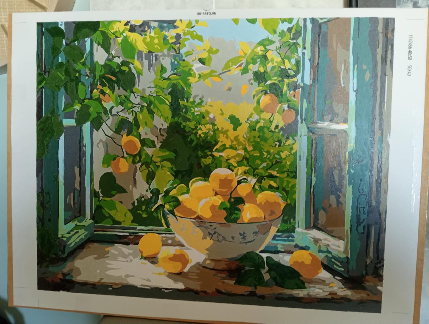 Customer photo review of Lemon Bowl at the Window | Paint by Number