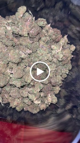 Customer photo review of Fire OG - 28 Grams Littles - Indica