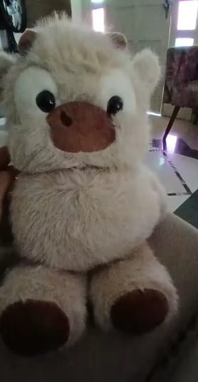 Customer photo review of MooMoo – La Vaquita Peluche que Corre