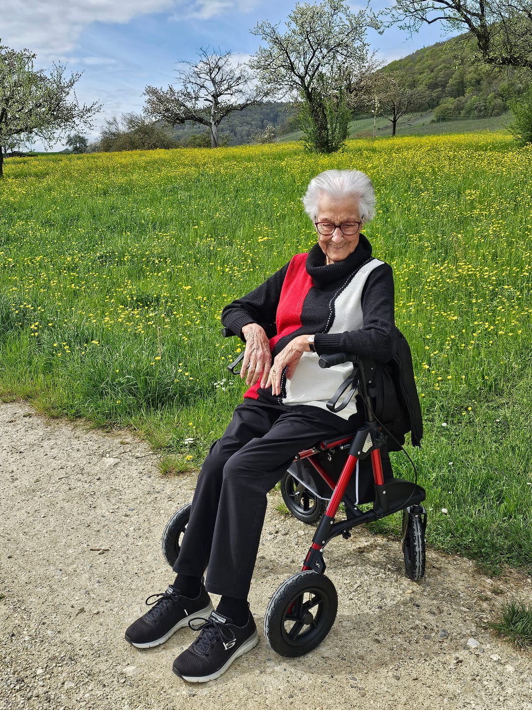 Customer photo review of Outdoor-Rollator Tabas (EXTRA LEICHT - 8,65 kg)