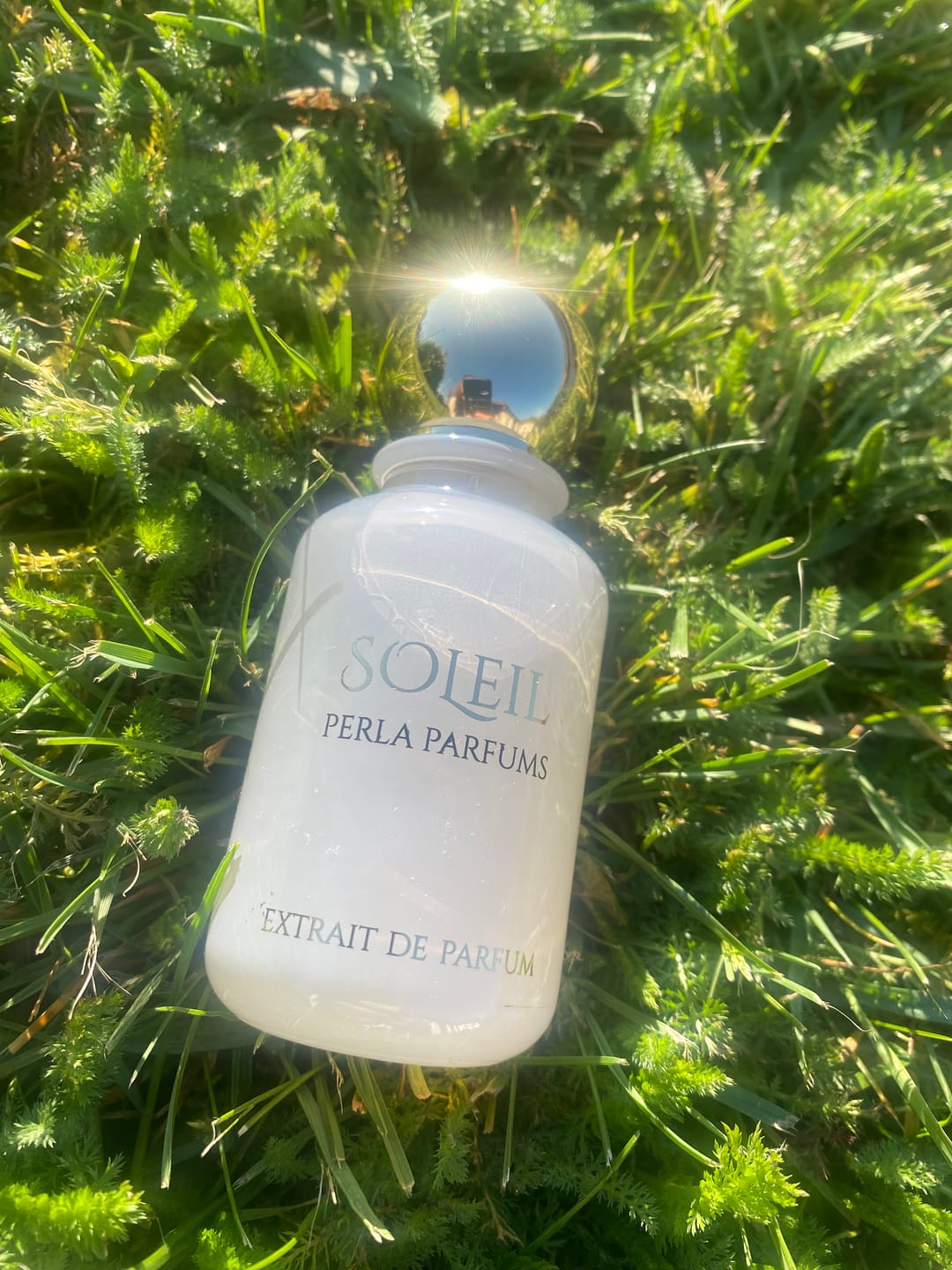 Customer photo review of Soleil