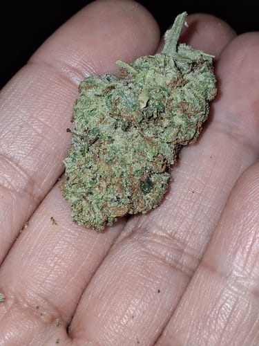 Customer photo review of Alien OG - 4 Grams - Indica