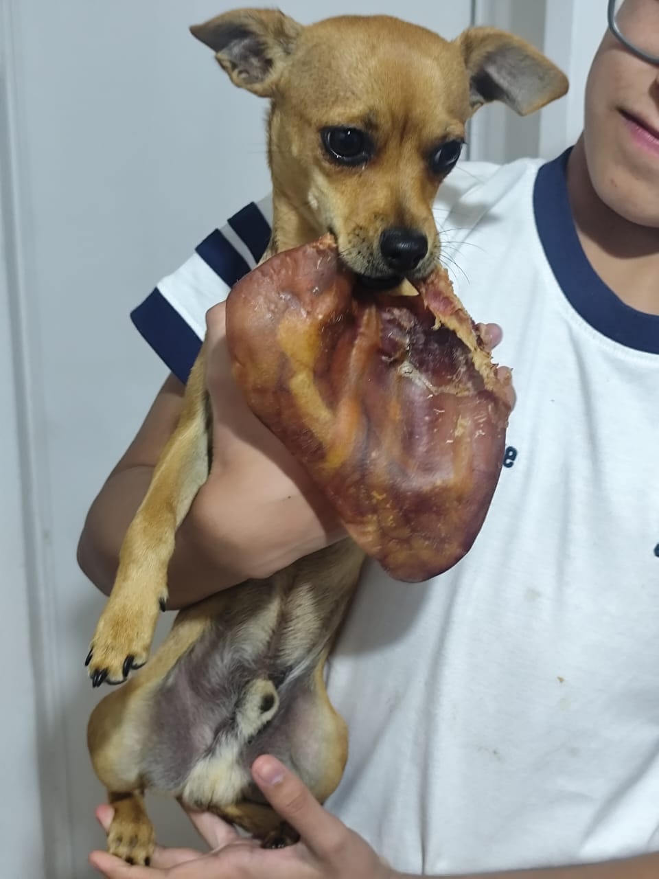 Customer photo review of Patas de pollo