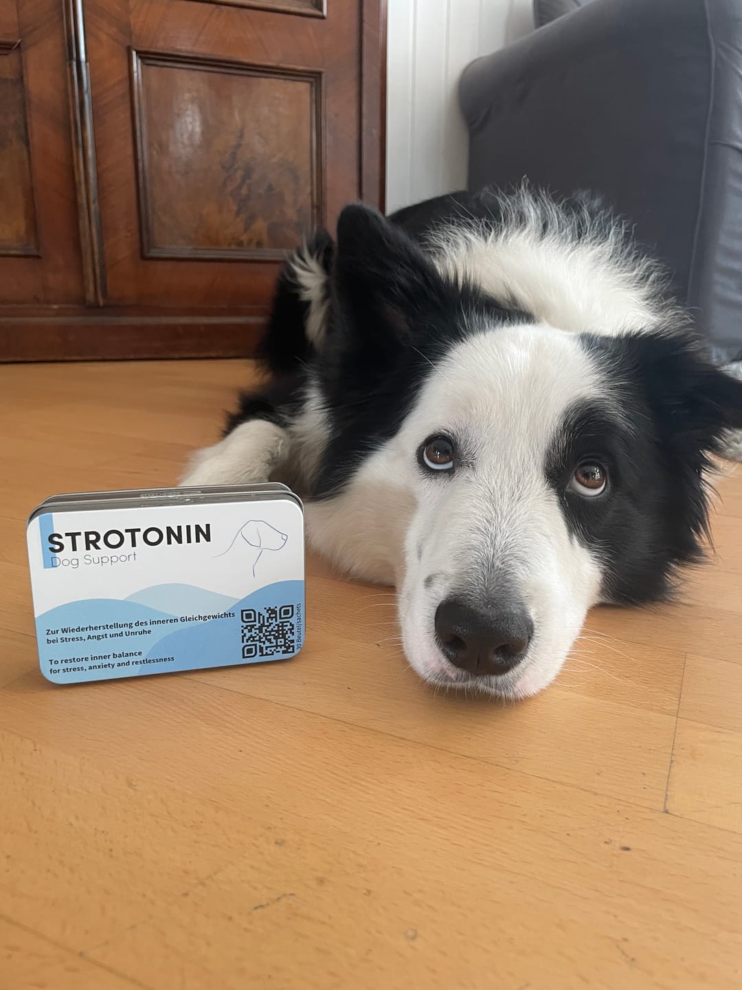 Customer photo review of Strotonin Dog Support