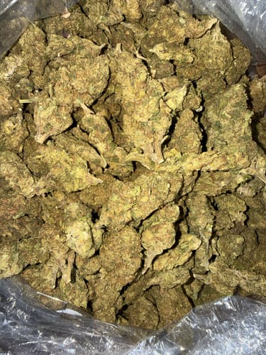 Apple Fritter - Bulk - Hybrid photo review