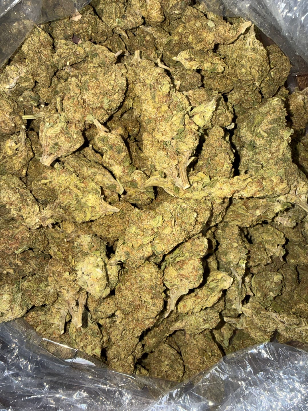 Customer photo review of Apple Fritter - Bulk - Hybrid