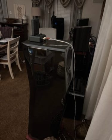 Customer photo review of DST Dual Firing AMT Super Tweeter Pair