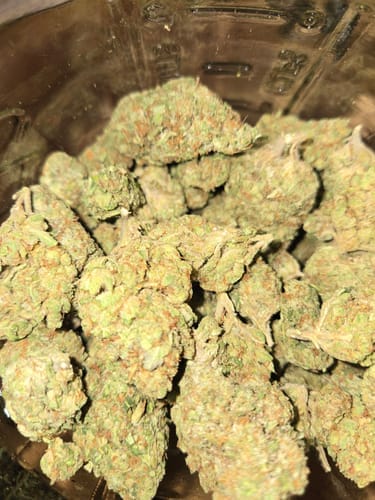 Customer photo review of Super Jack - Bulk - Hybrid