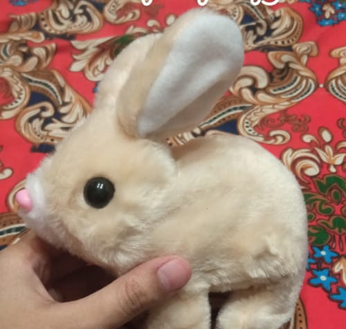 ぴょんぴょんウサギに関するお客様の写真付きレビュー