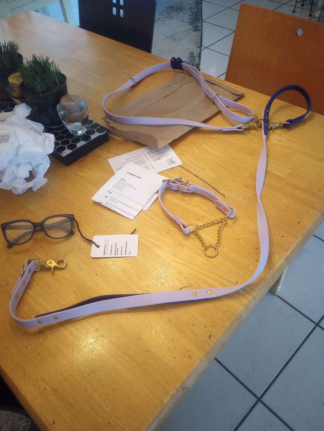 Customer photo review of Biothane Traffic Handle Dog Leash