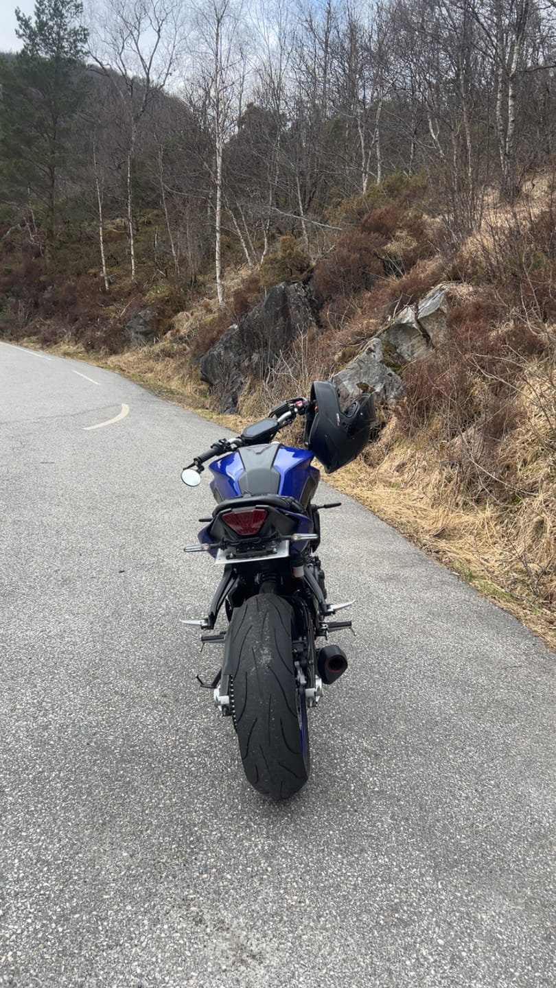 Customer photo review of Plate Light (universal)