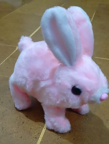 ぴょんぴょんウサギに関するお客様の写真付きレビュー