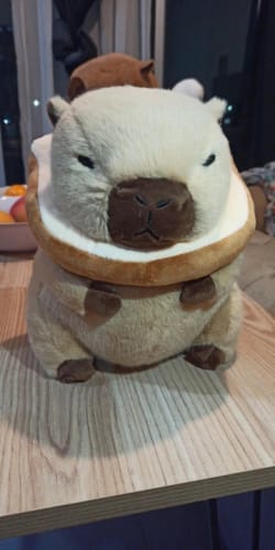 Customer photo review of Capybara Bread & Flower Plush Toy