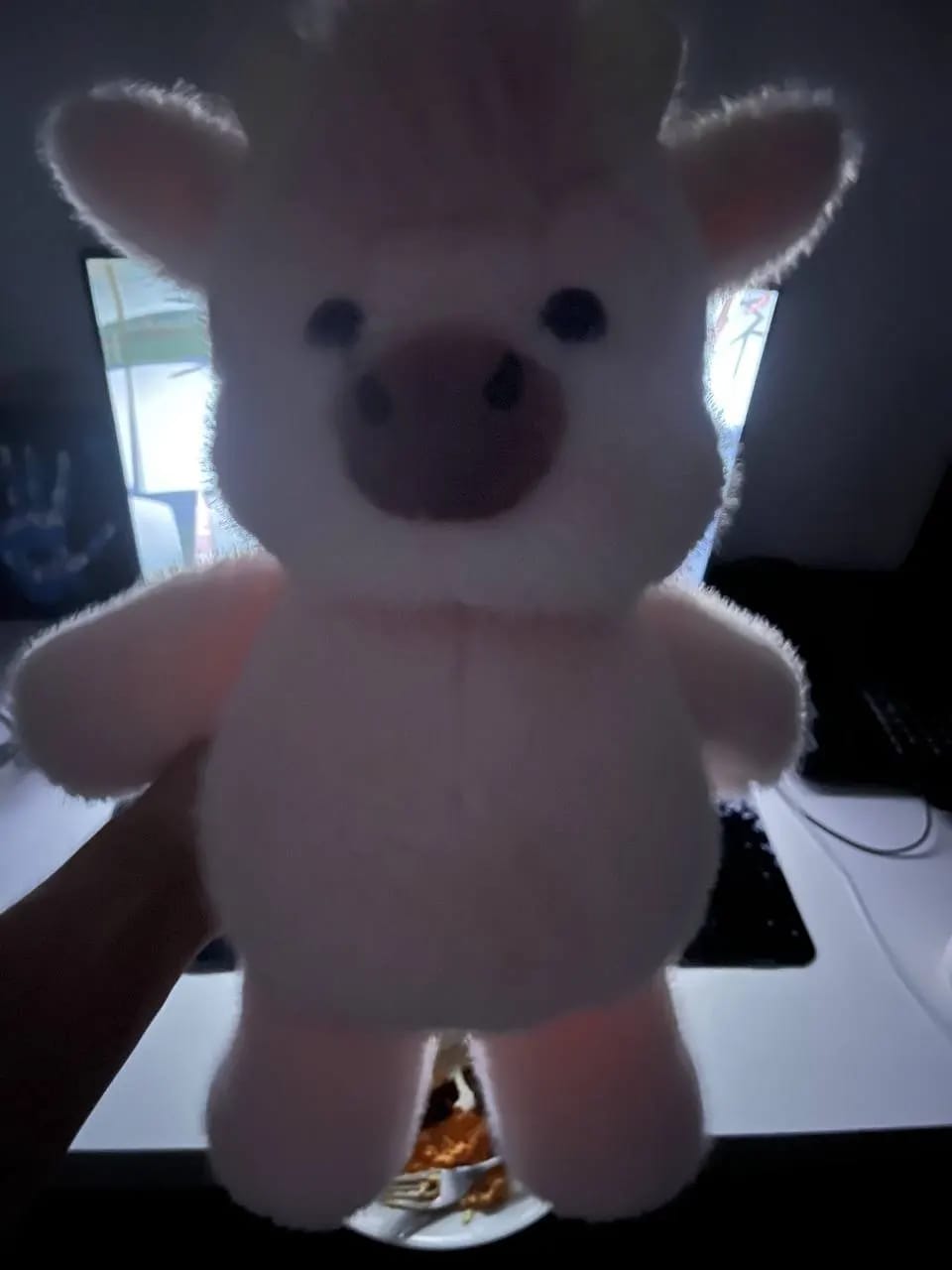 Customer photo review of MooMoo – La Vaquita Peluche que Corre