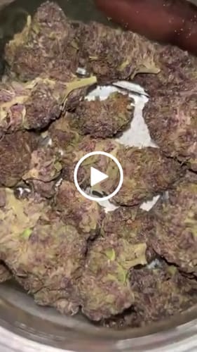 Customer photo review of Granddaddy Purple - 28 Grams - Indica