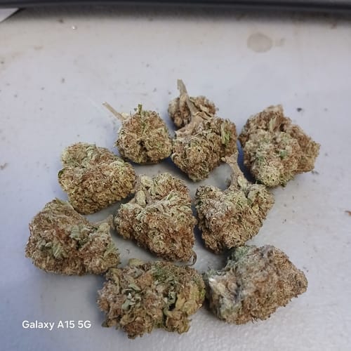 Customer photo review of Raspberry Kush - 28 Grams - Indica