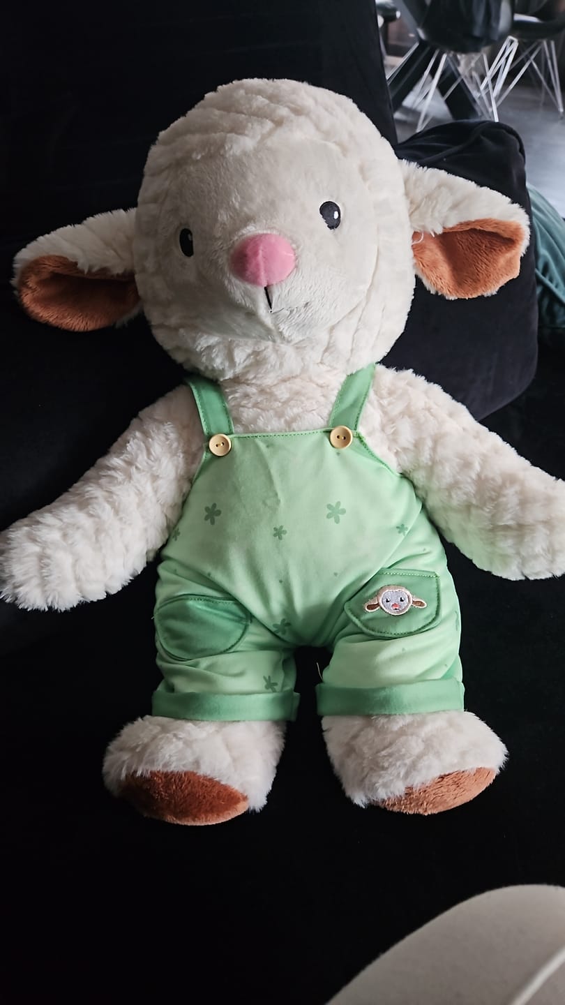 Customer photo review of Schaap Kleding Lente Lotgenootje