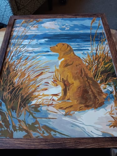 Customer photo review of Waiting Labrador | Paint by Number