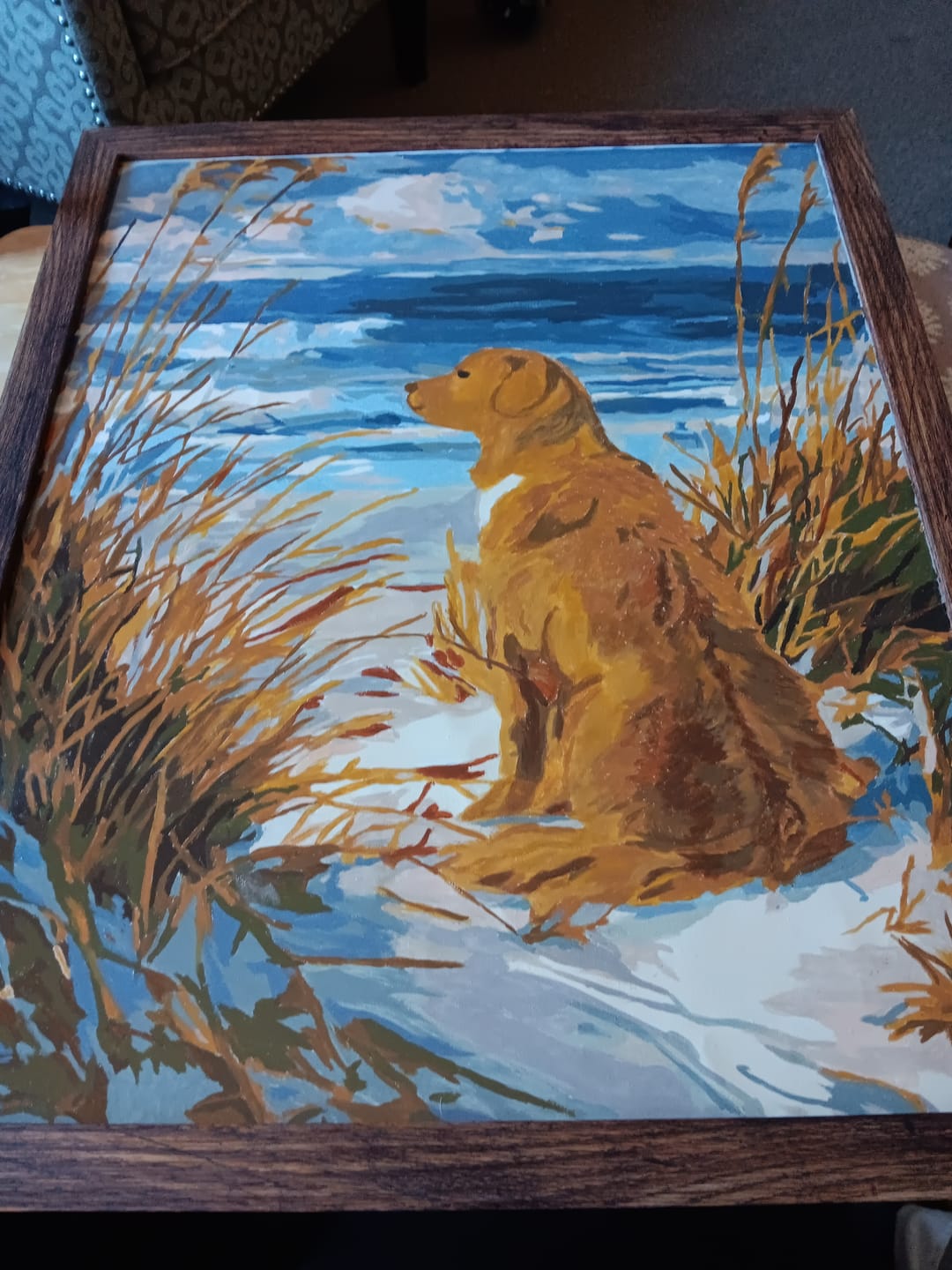 Customer photo review of Waiting Labrador | Paint by Number