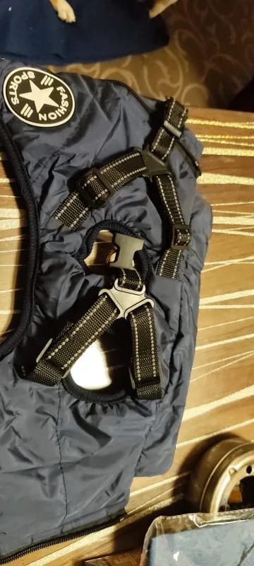 Customer photo review of Waterproof Warm Winter Dog Jacket With Harness | Dog Clothes