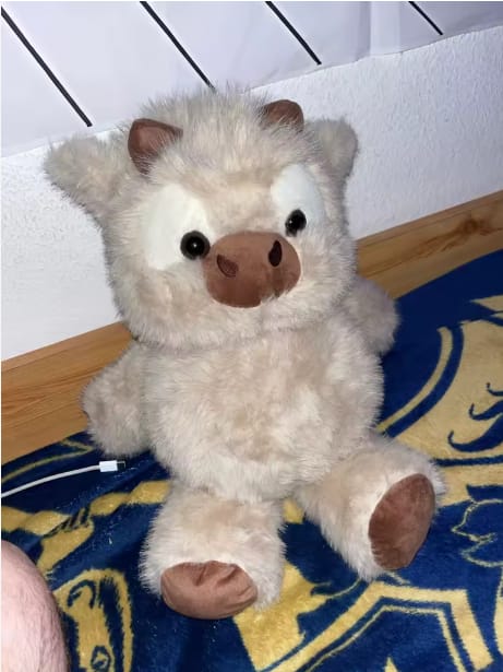 Customer photo review of MooMoo – La Vaquita Peluche que Corre