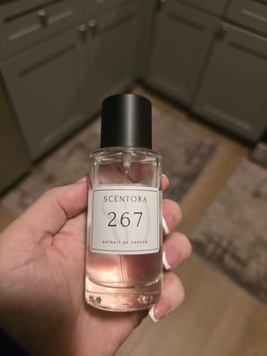 Customer photo review of SCENTORA 267