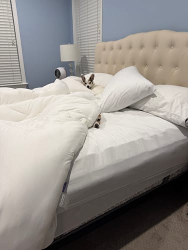 Customer photo review of MarshMellow Comforter
