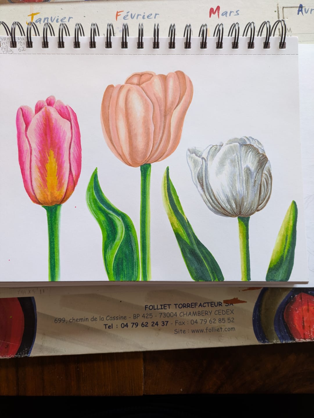 Customer photo review of Ohuhu Heavyweight Bleedproof Double-Sided Marker Pad, Spiral-Bound - Kamakou