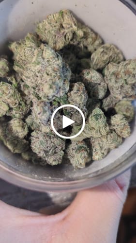 Customer photo review of Boutique Exotics - Lemon Dior - 14 Grams - Hybrid