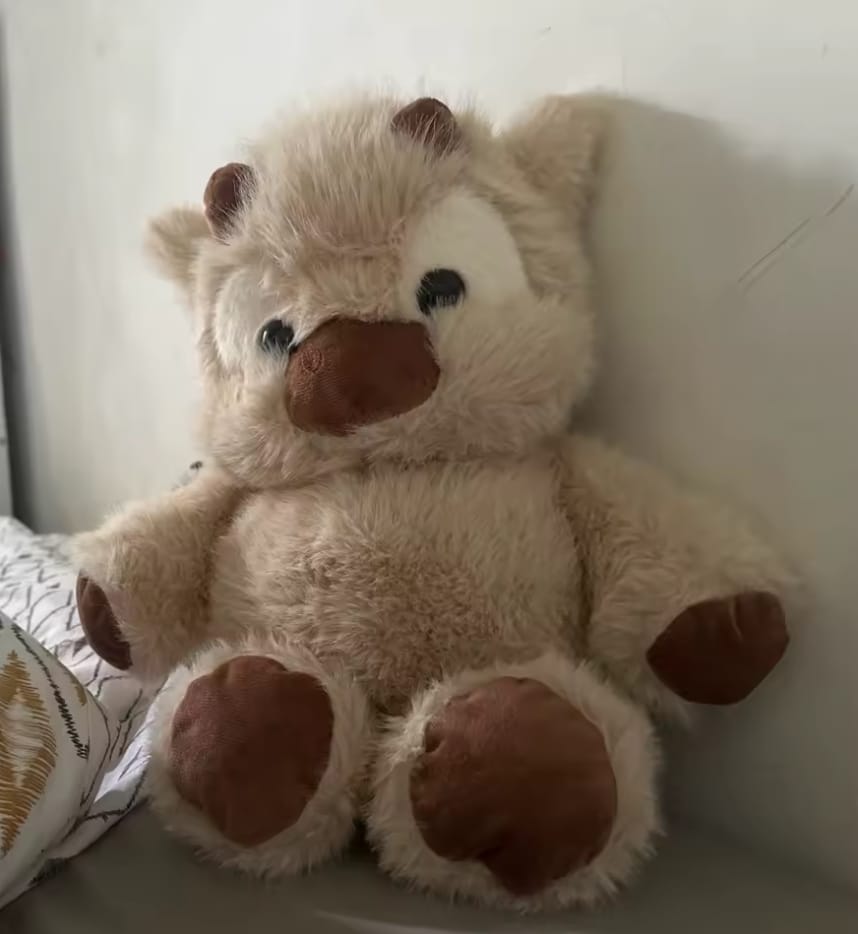 Customer photo review of MooMoo – La Vaquita Peluche que Corre