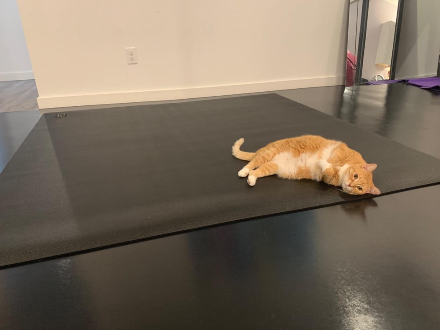 Customer photo review of GXMMAT Large Exercise Mat 6'x6'
