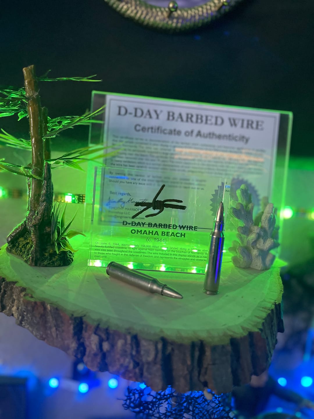 Customer photo review of D-Day Barbed Wire Artifact Display