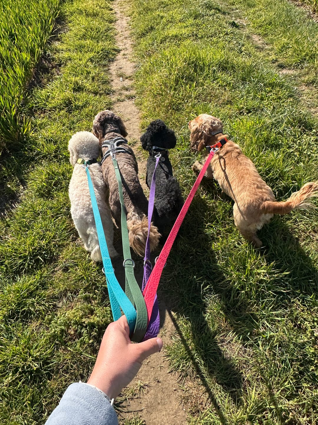 Customer photo review of Tidal Waterproof Lead