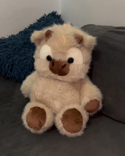 Customer photo review of MooMoo – La Vaquita Peluche que Corre