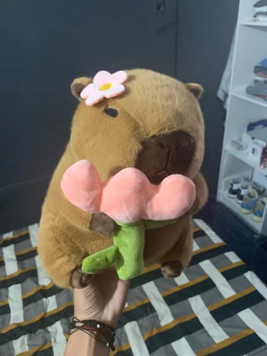 Customer photo review of Capybara Bread & Flower Plush Toy